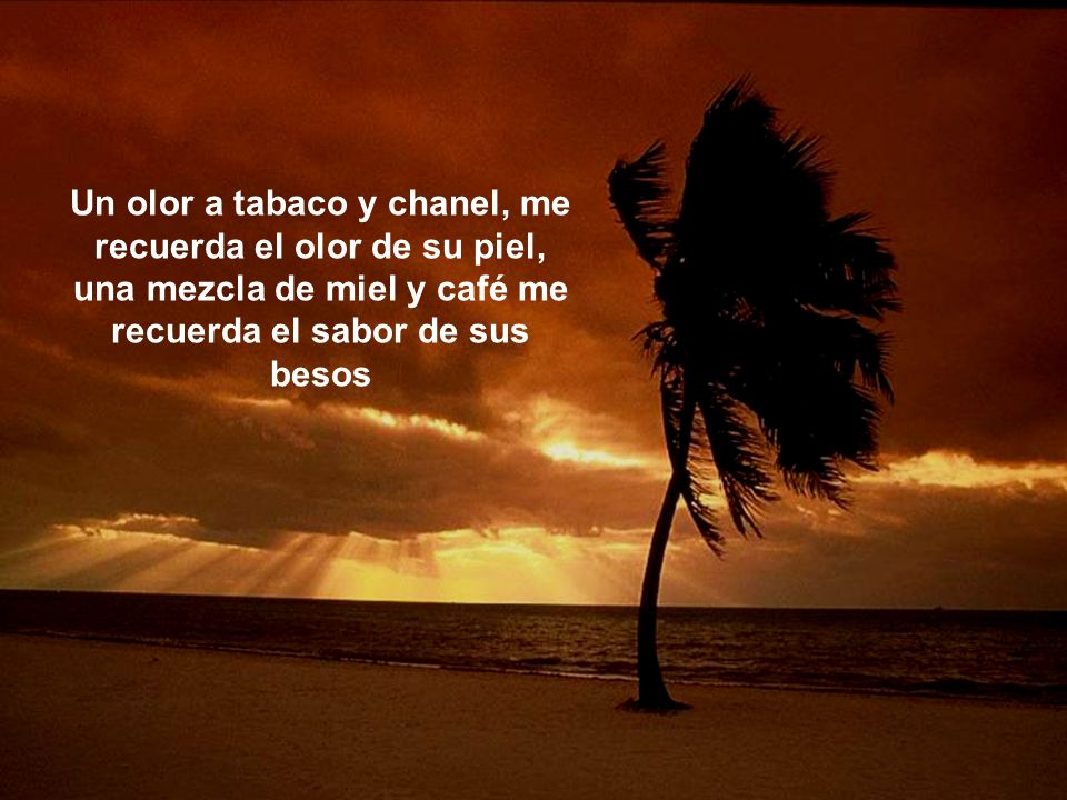 Un olor a tabaco y chanel, me recuerda el olor de su piel, una mezcla de miel y café me recuerda el sabor de sus besos