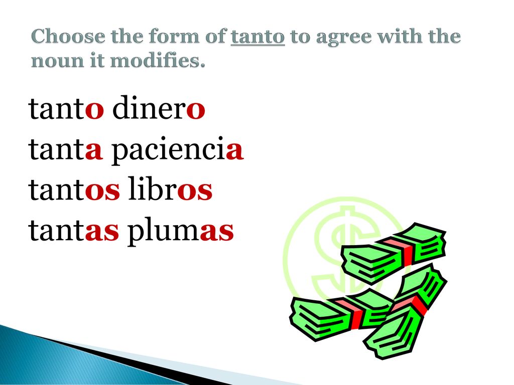 Choose the form of tanto to agree with the noun it modifies.