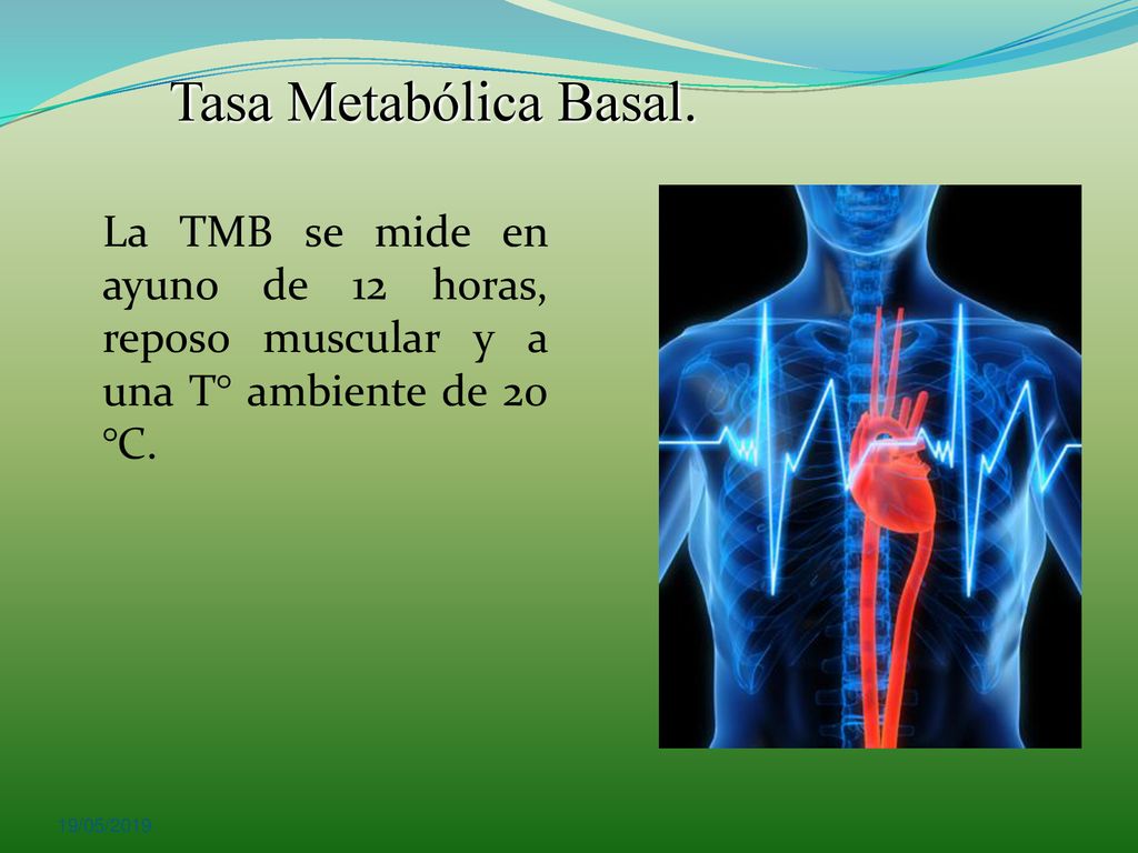 Tasa Metabólica Basal. La TMB se mide en ayuno de 12 horas, reposo muscular y a una T° ambiente de 20 °C.