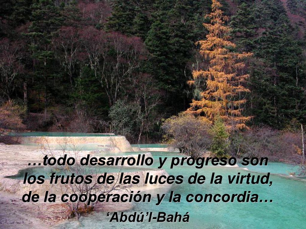 …todo desarrollo y progreso son los frutos de las luces de la virtud, de la cooperación y la concordia…