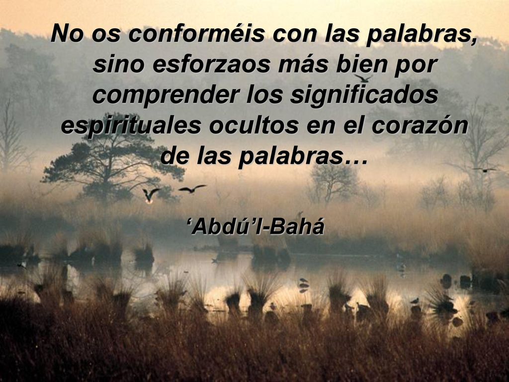 No os conforméis con las palabras, sino esforzaos más bien por comprender los significados espirituales ocultos en el corazón de las palabras…