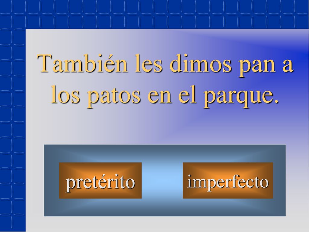 También les dimos pan a los patos en el parque.