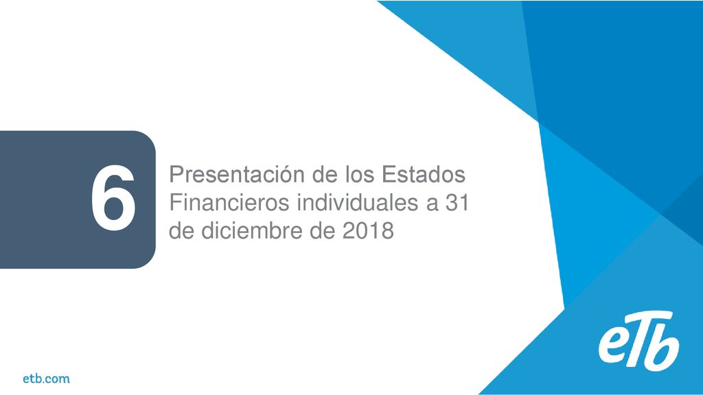 6 Presentación de los Estados Financieros individuales a 31 de diciembre de 2018