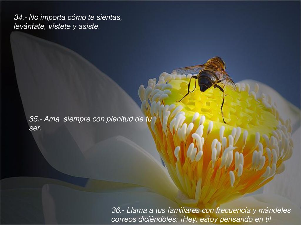 34.- No importa cómo te sientas, levántate, vístete y asiste.