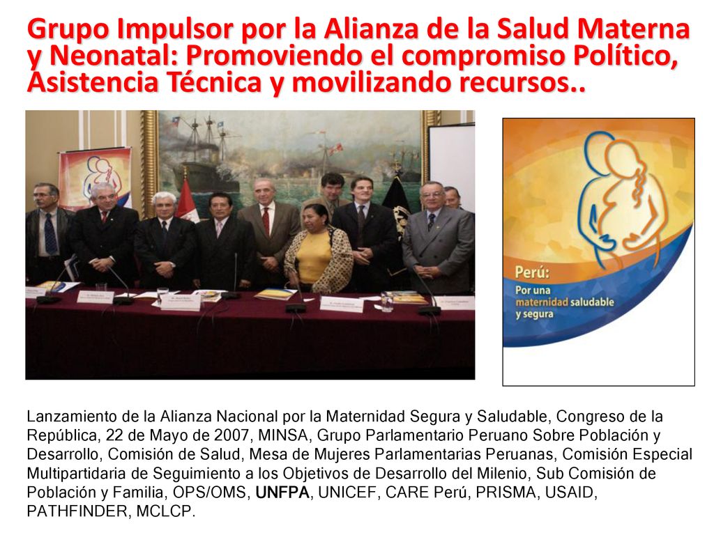 Grupo Impulsor por la Alianza de la Salud Materna y Neonatal: Promoviendo el compromiso Político, Asistencia Técnica y movilizando recursos..