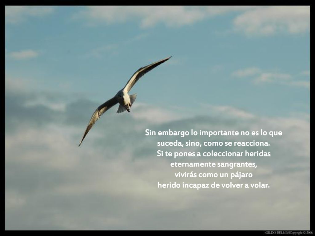 Sin embargo lo importante no es lo que suceda, sino, como se reacciona