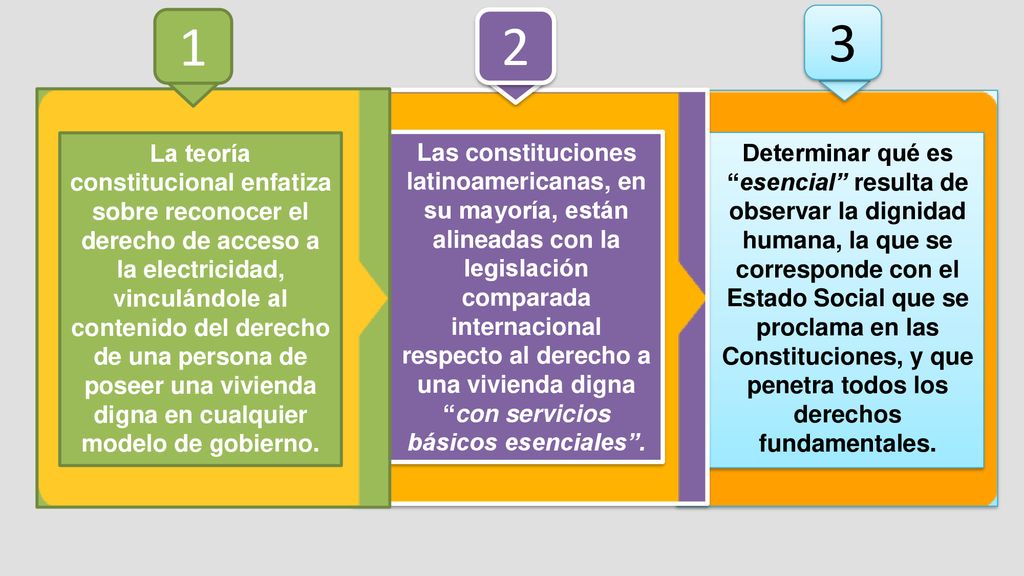 La teoría constitucional enfatiza sobre reconocer el derecho de acceso a la electricidad, vinculándole al contenido del derecho de una persona de poseer una vivienda digna en cualquier modelo de gobierno.