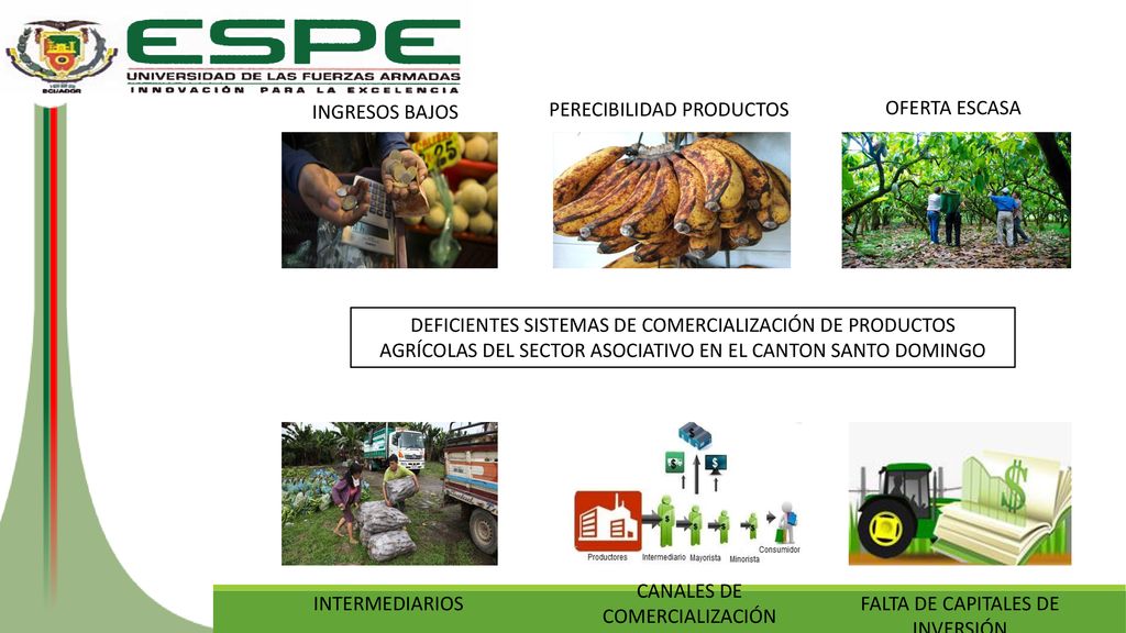 PERECIBILIDAD PRODUCTOS OFERTA ESCASA