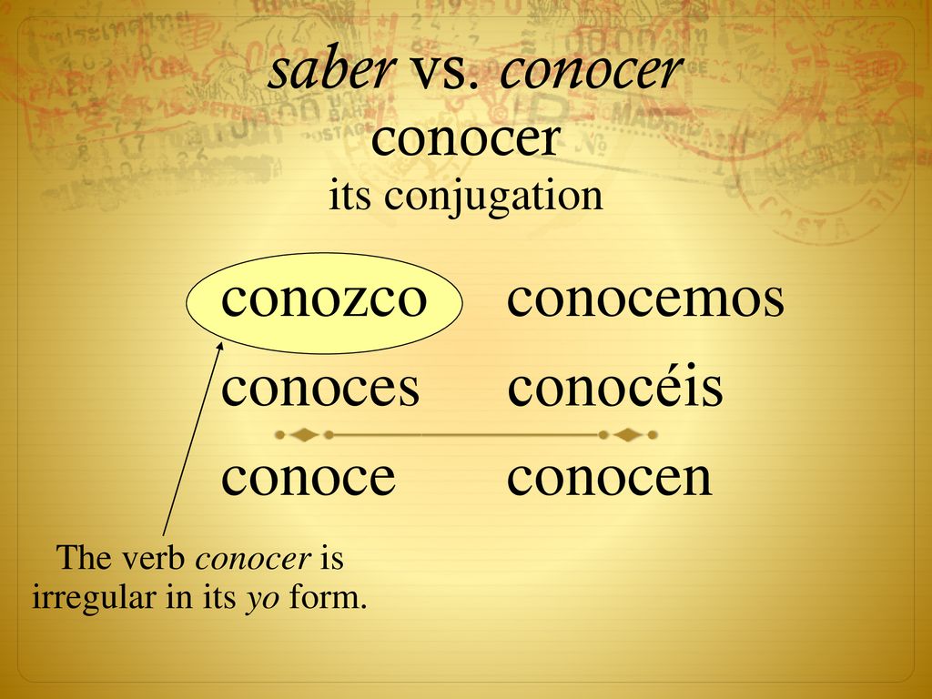 The verb conocer is irregular in its yo form.