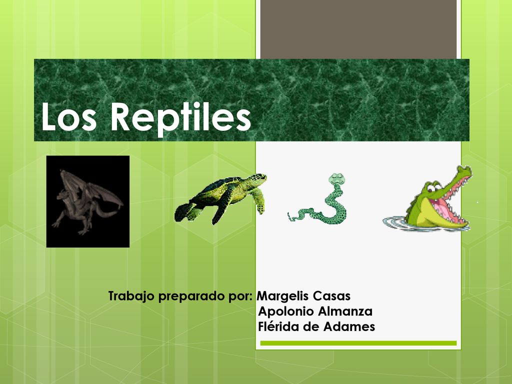 Los Reptiles Trabajo preparado por: Margelis Casas Apolonio Almanza