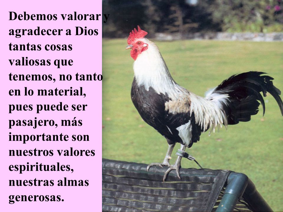 Debemos valorar y agradecer a Dios tantas cosas valiosas que tenemos, no tanto en lo material, pues puede ser pasajero, más importante son nuestros valores espirituales, nuestras almas generosas.
