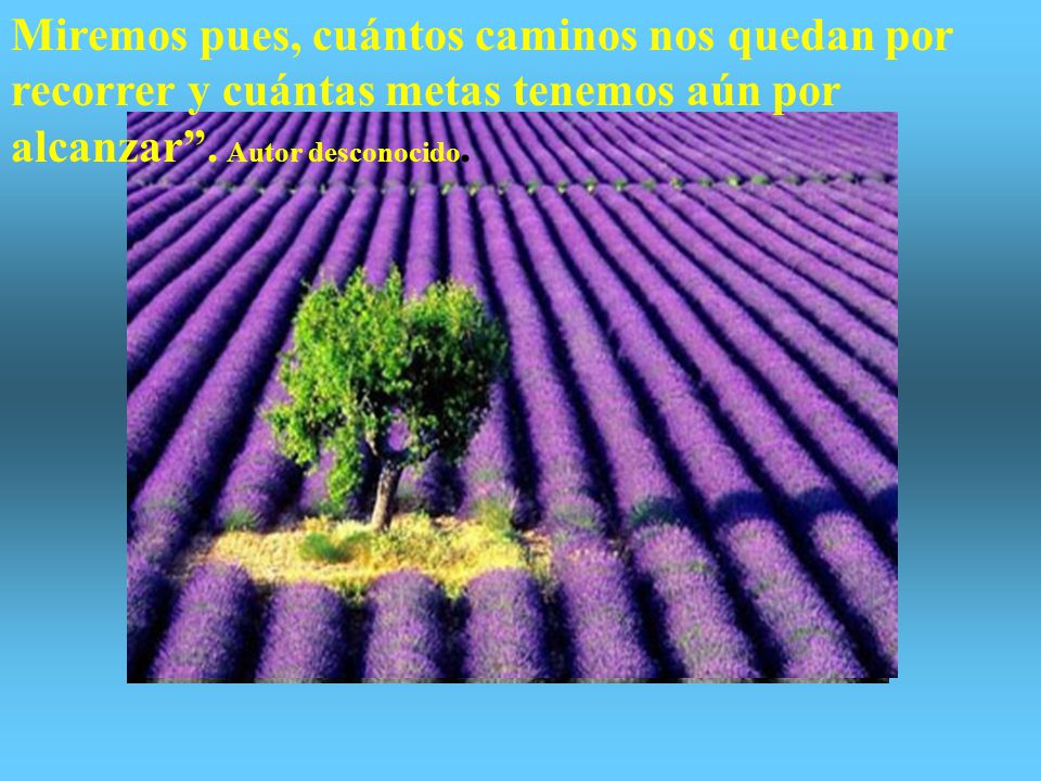Miremos pues, cuántos caminos nos quedan por recorrer y cuántas metas tenemos aún por alcanzar .