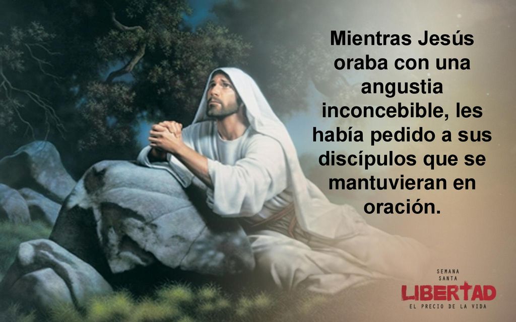 Mientras Jesús oraba con una angustia inconcebible, les había pedido a sus discípulos que se mantuvieran en oración.