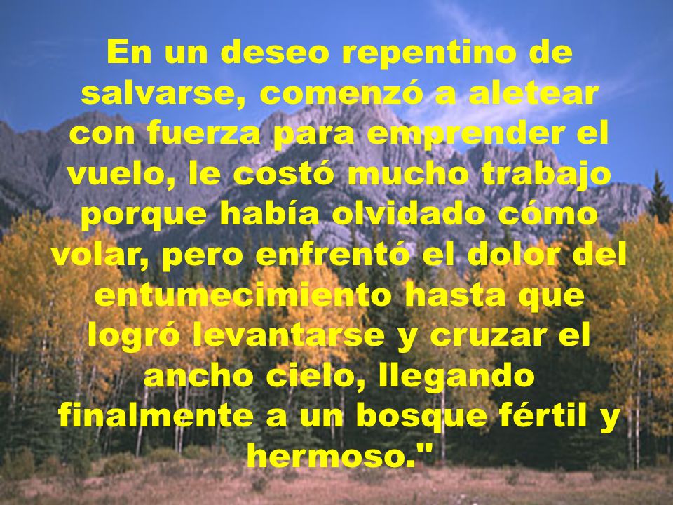 En un deseo repentino de salvarse, comenzó a aletear con fuerza para emprender el vuelo, le costó mucho trabajo porque había olvidado cómo volar, pero enfrentó el dolor del entumecimiento hasta que logró levantarse y cruzar el ancho cielo, llegando finalmente a un bosque fértil y hermoso.