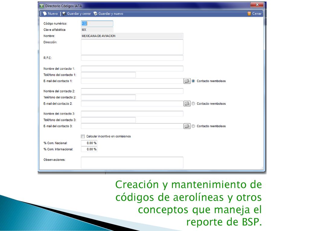 Creación y mantenimiento de códigos de aerolíneas y otros conceptos que maneja el reporte de BSP.