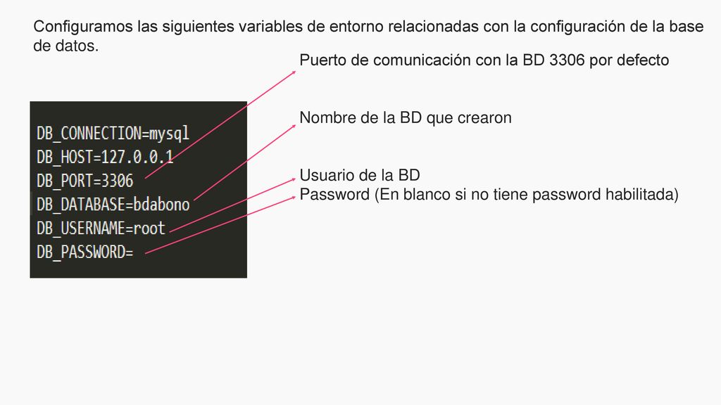 Configuramos las siguientes variables de entorno relacionadas con la configuración de la base de datos.