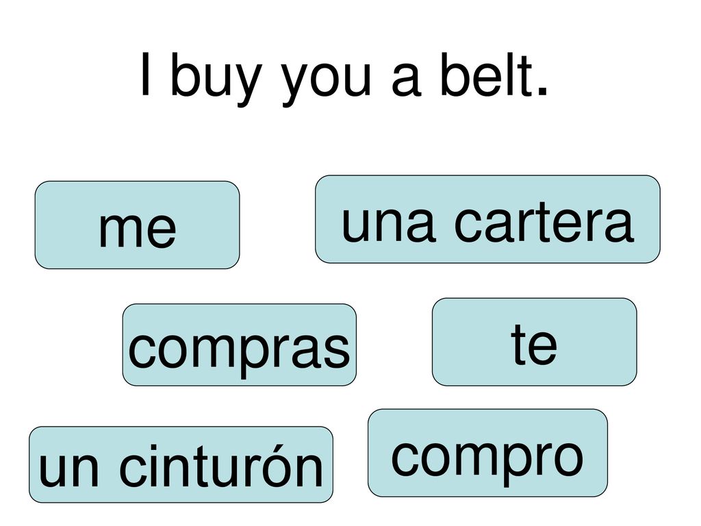 I buy you a belt. una cartera me te compras compro un cinturón