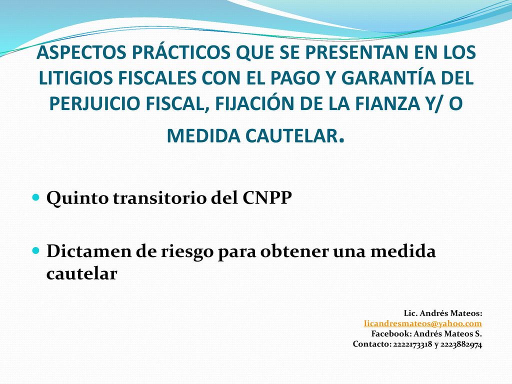 ASPECTOS PRÁCTICOS QUE SE PRESENTAN EN LOS LITIGIOS FISCALES CON EL PAGO Y GARANTÍA DEL PERJUICIO FISCAL, FIJACIÓN DE LA FIANZA Y/ O MEDIDA CAUTELAR.