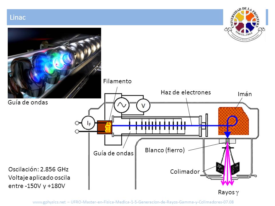 Linac Filamento Haz de electrones Imán Guía de ondas Blanco (fierro)