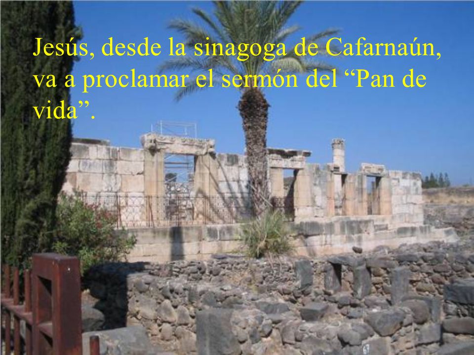 Jesús, desde la sinagoga de Cafarnaún, va a proclamar el sermón del Pan de vida .