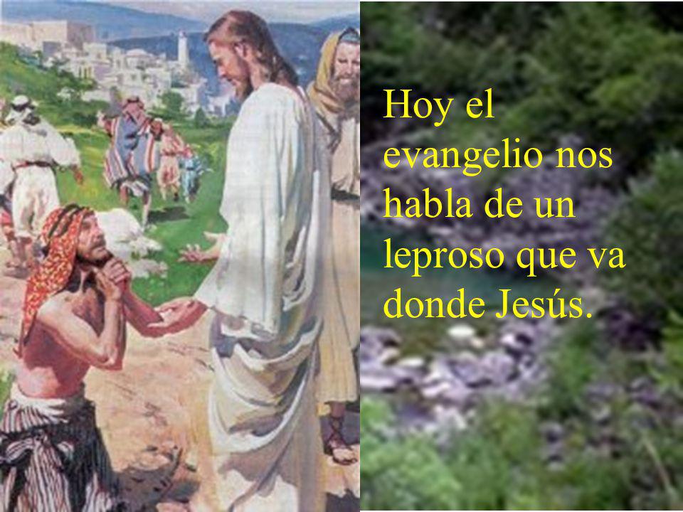 Hoy el evangelio nos habla de un leproso que va donde Jesús.