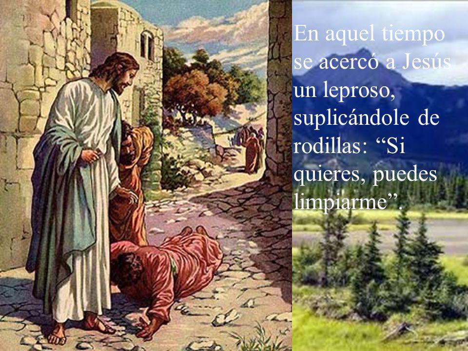 En aquel tiempo se acercó a Jesús un leproso, suplicándole de rodillas: Si quieres, puedes limpiarme .