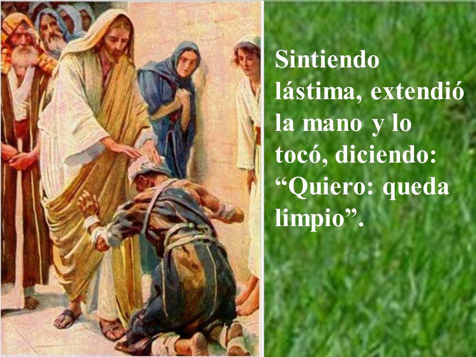 Sintiendo lástima, extendió la mano y lo tocó, diciendo: Quiero: queda limpio .