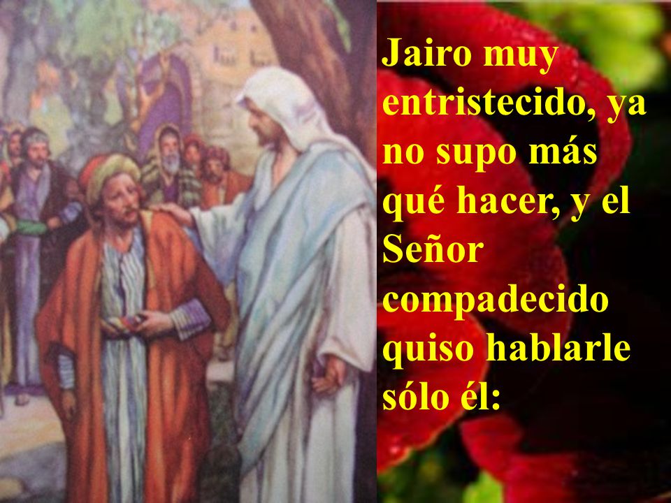 Jairo muy entristecido, ya no supo más qué hacer, y el Señor compadecido quiso hablarle sólo él: