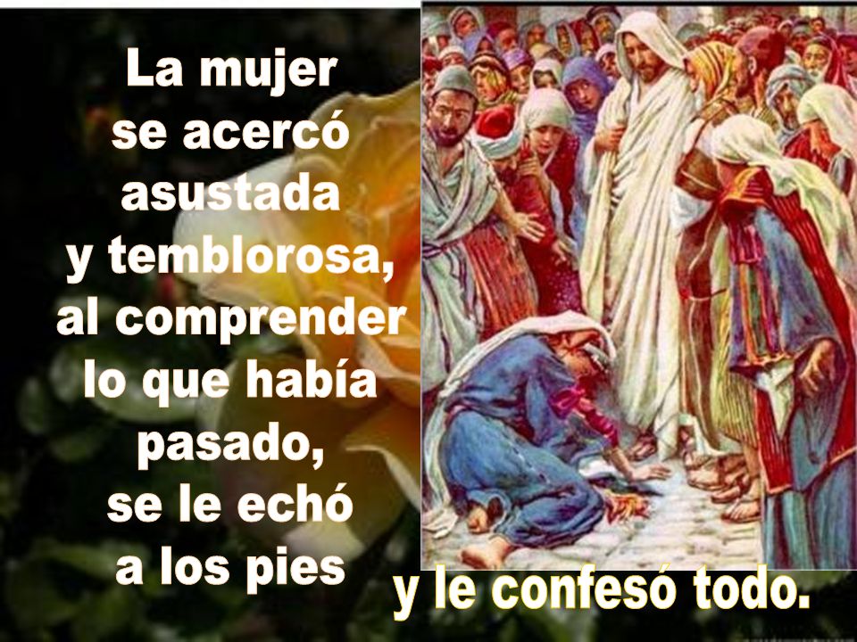 La mujer se acercó. asustada. y temblorosa, al comprender. lo que había. pasado, se le echó. a los pies.