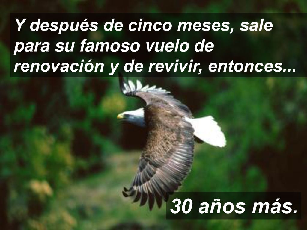Y después de cinco meses, sale para su famoso vuelo de renovación y de revivir, entonces...
