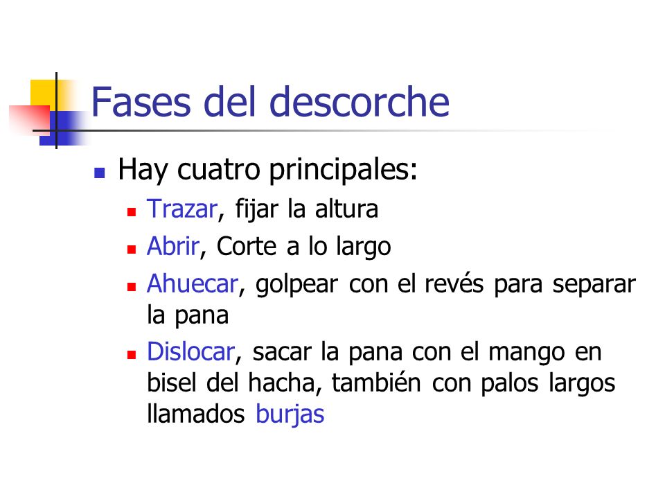 Fases del descorche Hay cuatro principales: Trazar, fijar la altura
