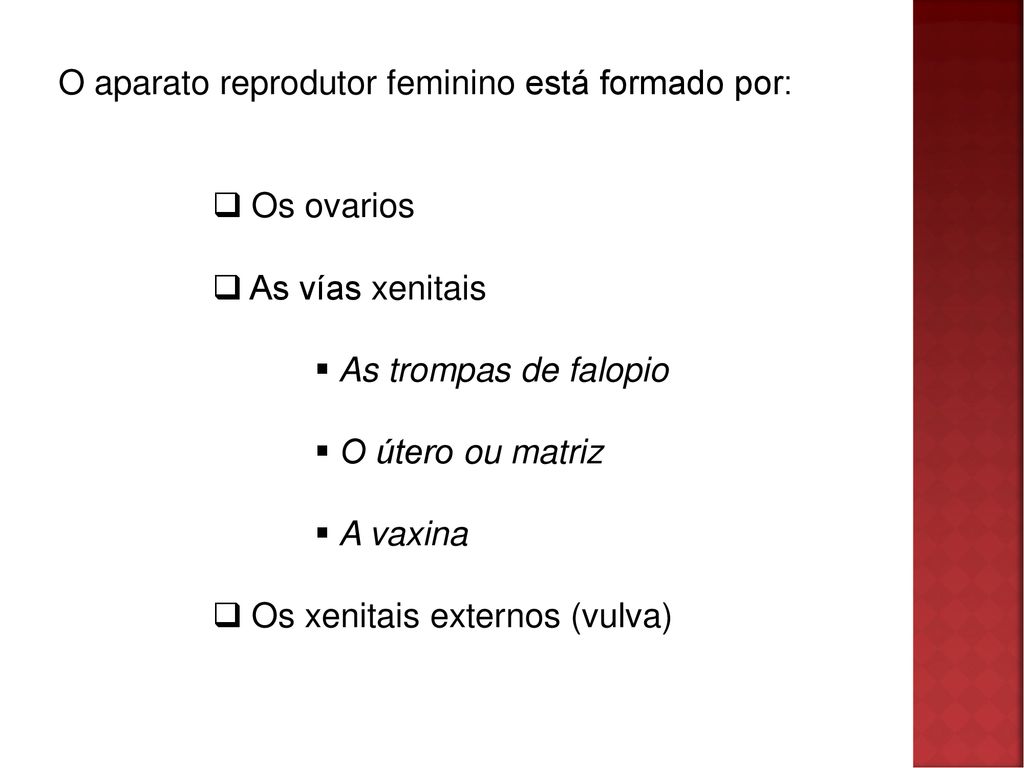 O aparato reprodutor feminino está formado por: