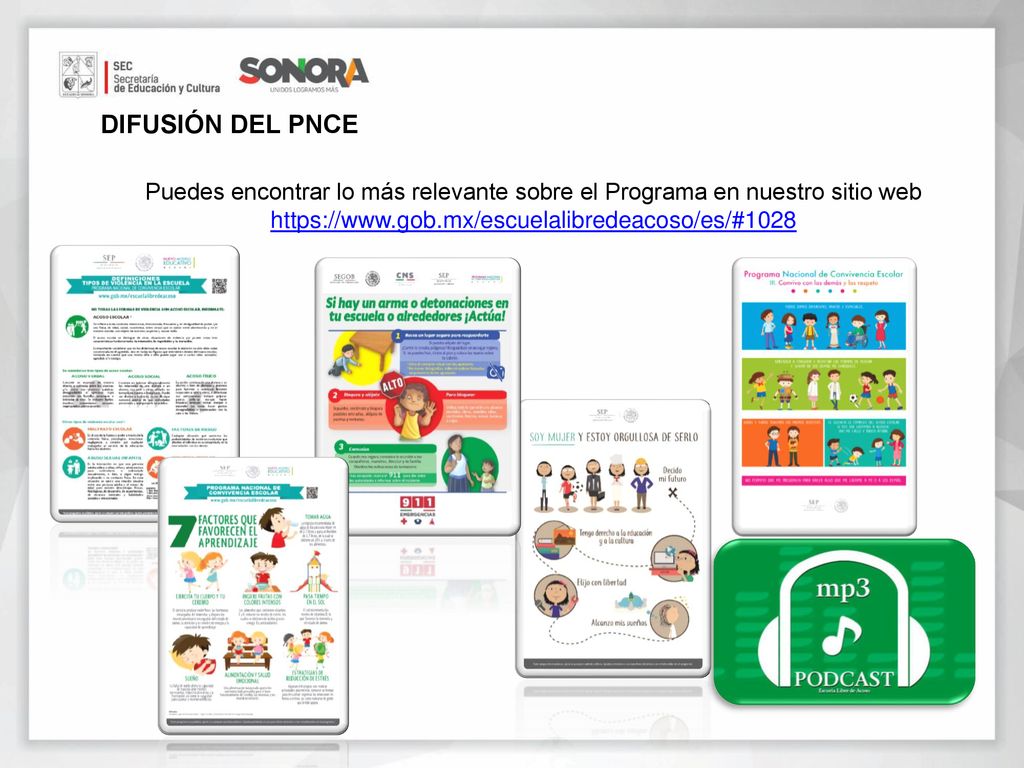 DIFUSIÓN DEL PNCE Puedes encontrar lo más relevante sobre el Programa en nuestro sitio web.