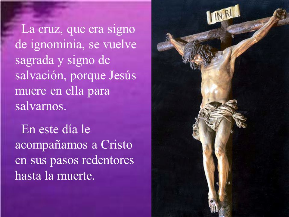 La cruz, que era signo de ignominia, se vuelve sagrada y signo de salvación, porque Jesús muere en ella para salvarnos.