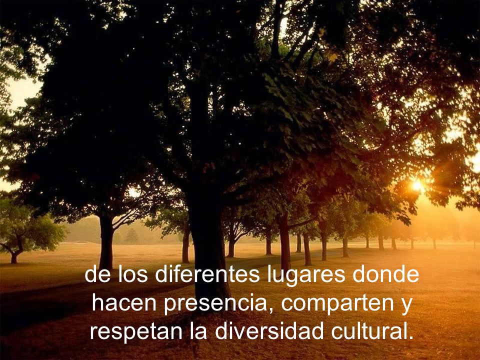 de los diferentes lugares donde hacen presencia, comparten y respetan la diversidad cultural.