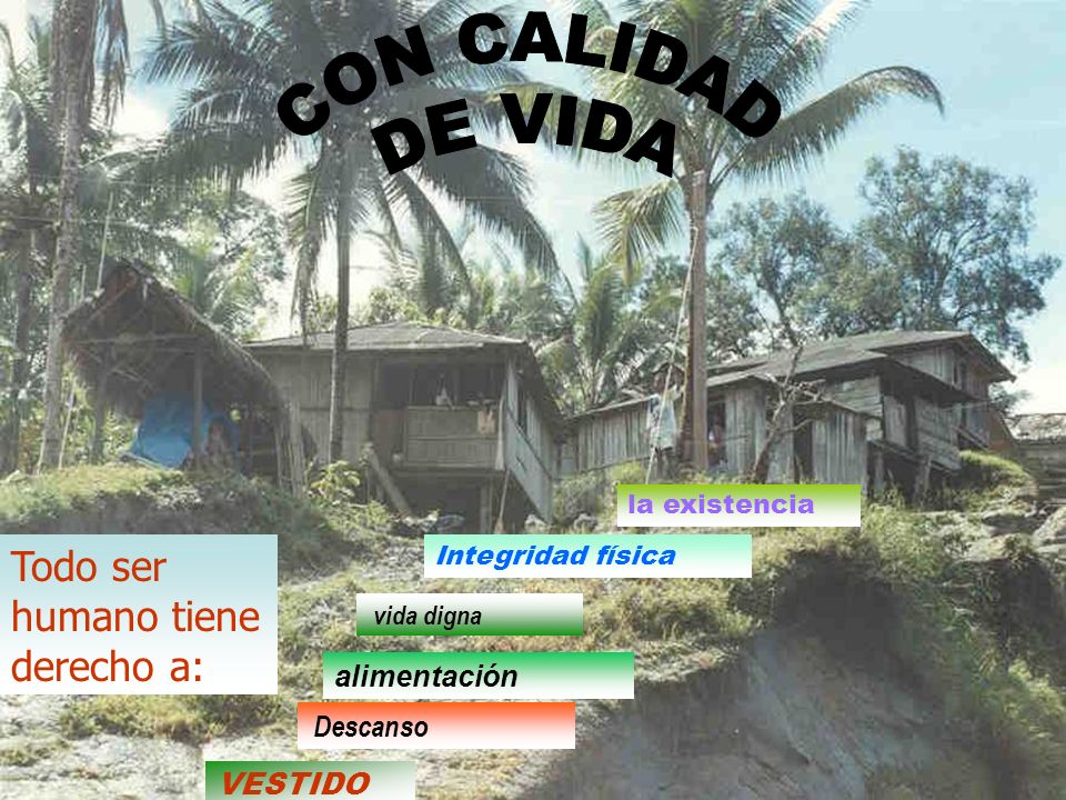 CON CALIDAD DE VIDA Todo ser humano tiene derecho a: alimentación