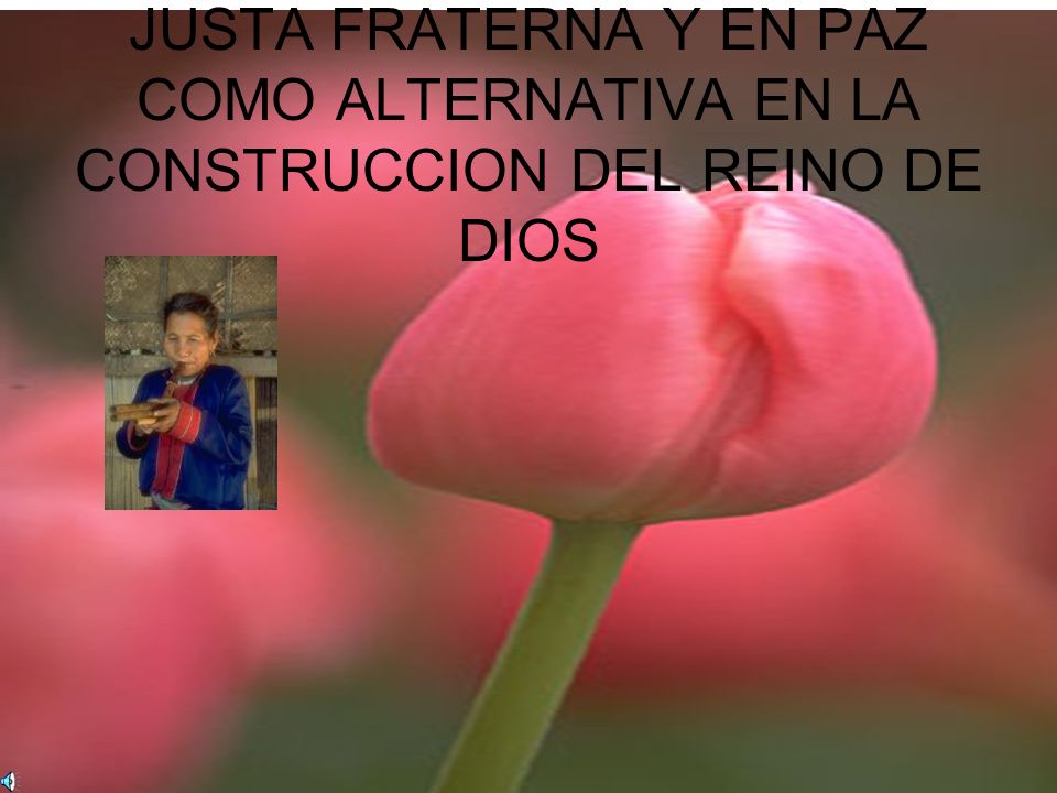 PROMUEVE UNA SOCIEDAD JUSTA FRATERNA Y EN PAZ COMO ALTERNATIVA EN LA CONSTRUCCION DEL REINO DE DIOS
