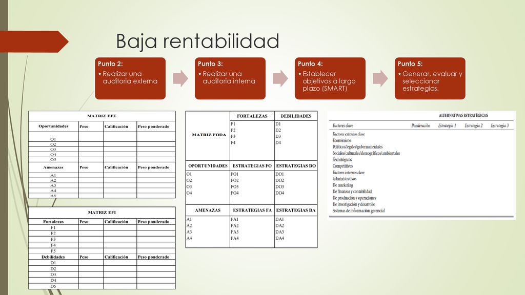 Baja rentabilidad Punto 2: Realizar una auditoria externa Punto 3: