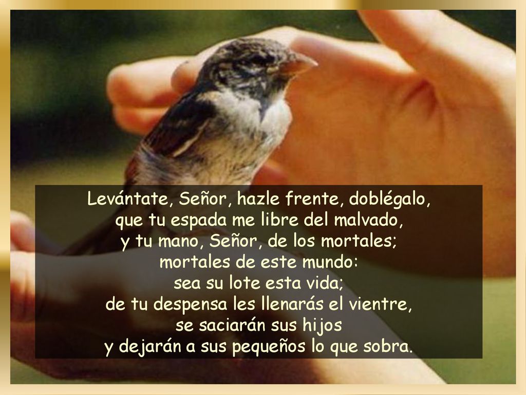 Levántate, Señor, hazle frente, doblégalo, que tu espada me libre del malvado, y tu mano, Señor, de los mortales; mortales de este mundo: sea su lote esta vida; de tu despensa les llenarás el vientre, se saciarán sus hijos y dejarán a sus pequeños lo que sobra.