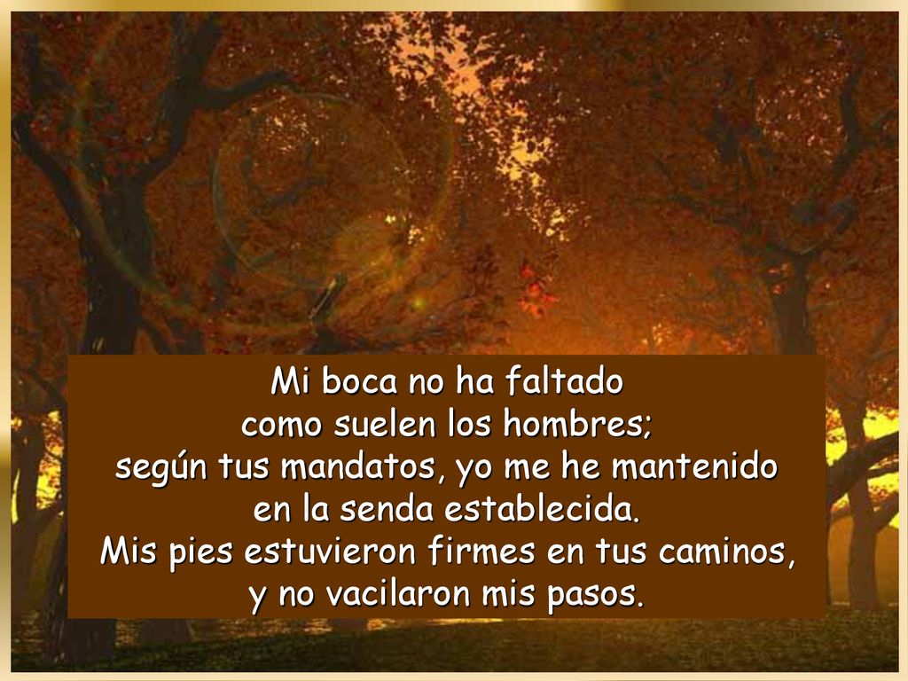 Mi boca no ha faltado como suelen los hombres; según tus mandatos, yo me he mantenido en la senda establecida.