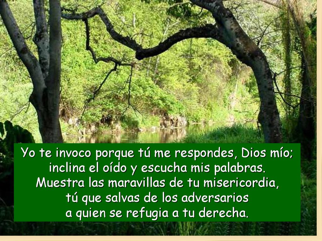 Yo te invoco porque tú me respondes, Dios mío; inclina el oído y escucha mis palabras.