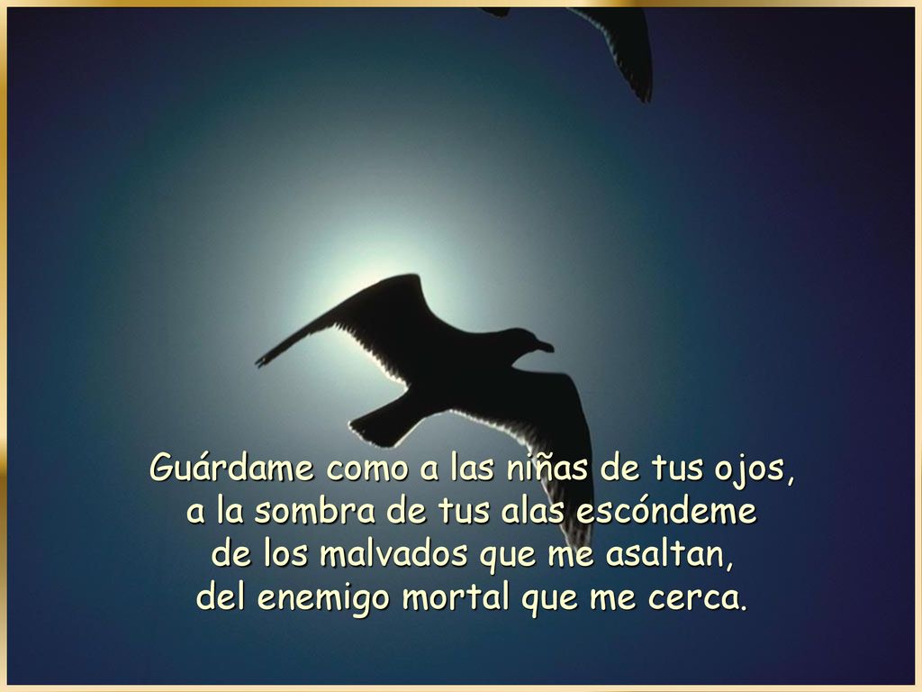 Guárdame como a las niñas de tus ojos, a la sombra de tus alas escóndeme de los malvados que me asaltan, del enemigo mortal que me cerca.