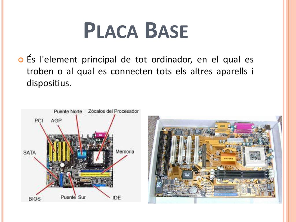 Placa Base És l element principal de tot ordinador, en el qual es troben o al qual es connecten tots els altres aparells i dispositius.