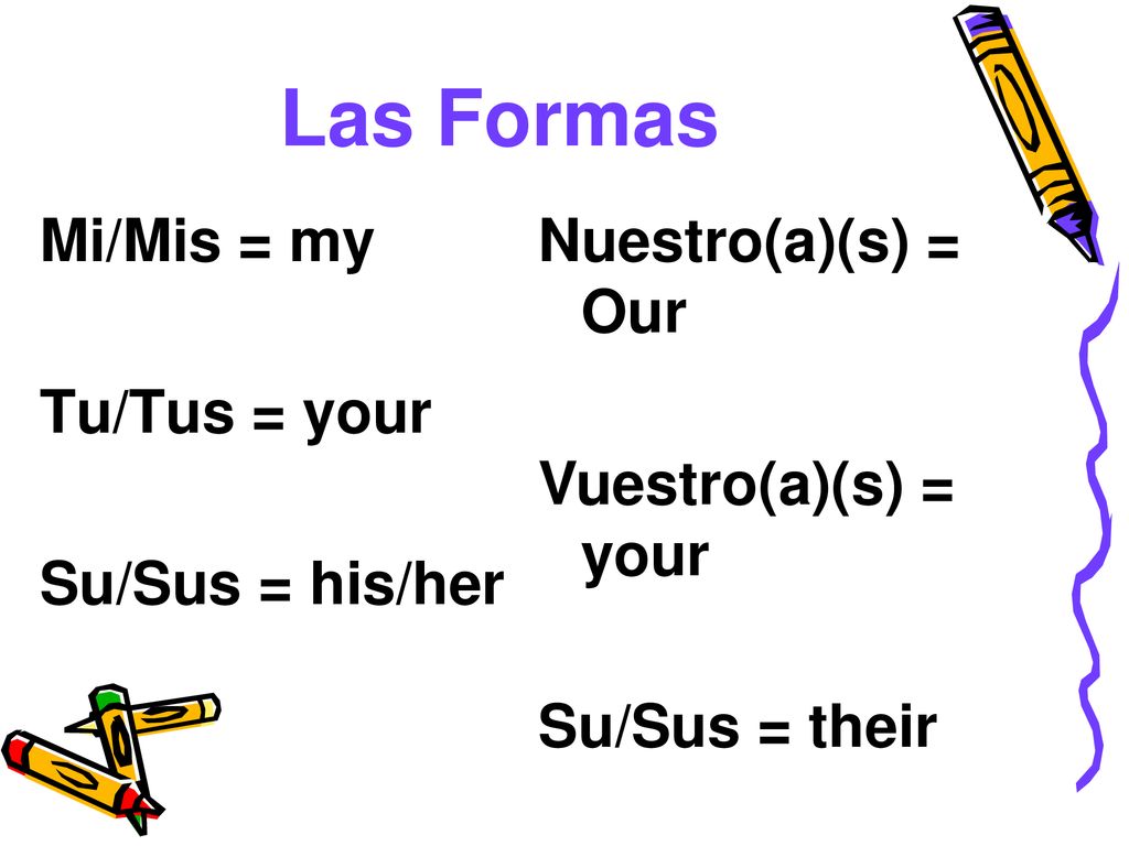 Las Formas Mi/Mis = my Tu/Tus = your Su/Sus = his/her
