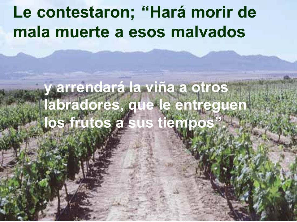 Le contestaron; Hará morir de mala muerte a esos malvados