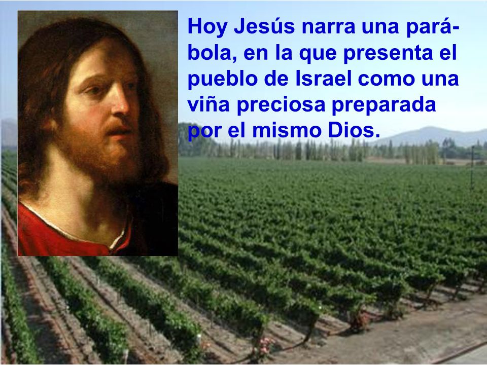 Hoy Jesús narra una pará-bola, en la que presenta el pueblo de Israel como una viña preciosa preparada por el mismo Dios.