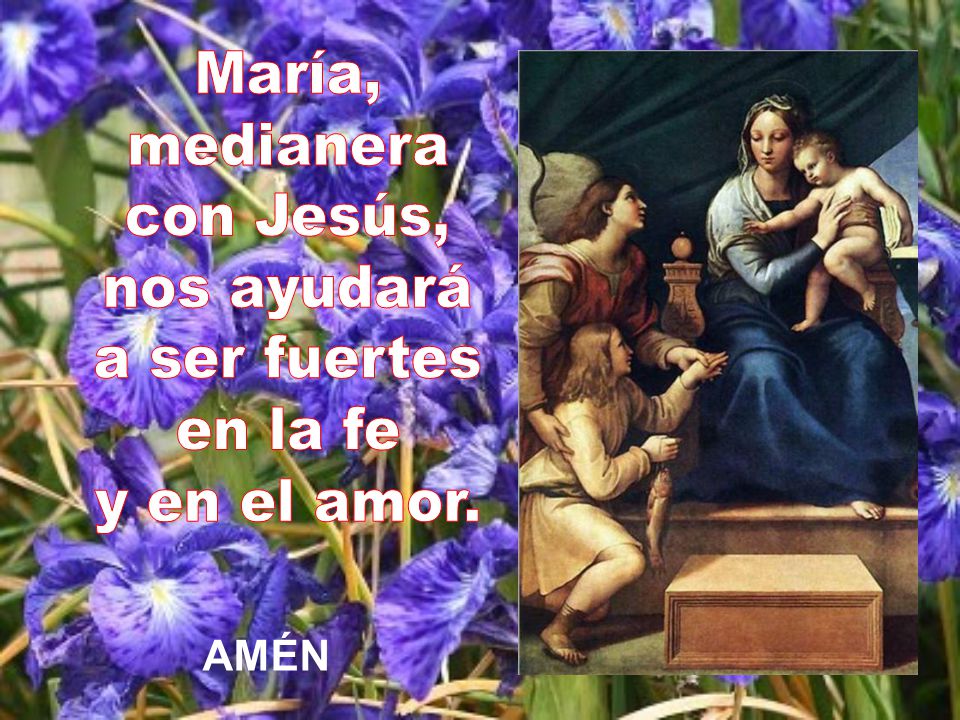 María, medianera con Jesús, nos ayudará a ser fuertes en la fe