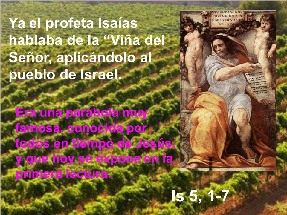 Ya el profeta Isaías hablaba de la Viña del Señor, aplicándolo al pueblo de Israel.