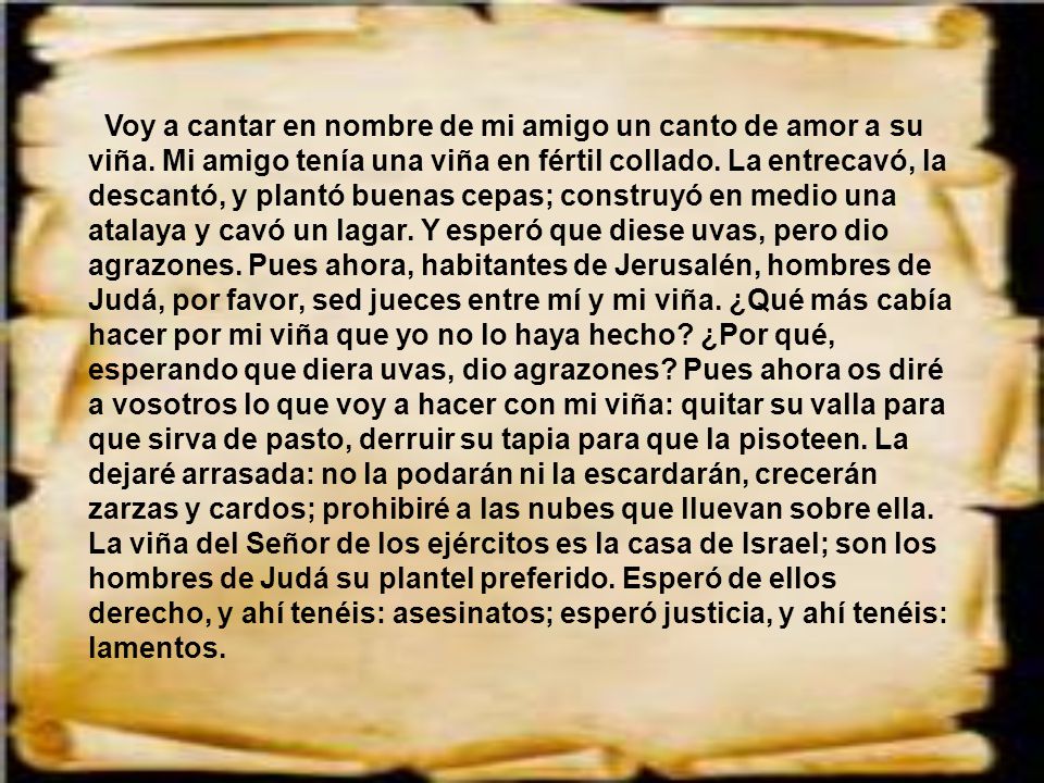 Voy a cantar en nombre de mi amigo un canto de amor a su viña