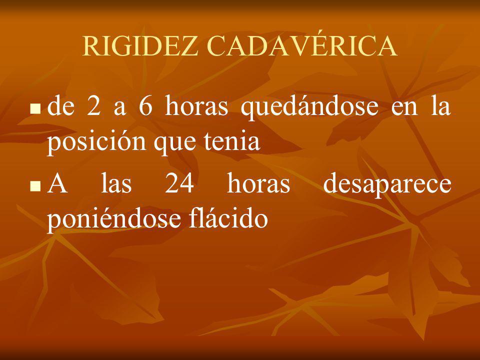 RIGIDEZ CADAVÉRICA de 2 a 6 horas quedándose en la posición que tenia.